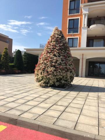 Apartment In Prestige Fort Beach Sveti Vlas Eksteriør bilde